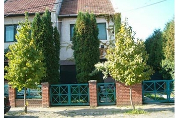 Madjarska Privát Gyula, Eksterijer